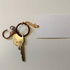 Llave, ha sido reportado por Regio Limburg - Leuven con iLost