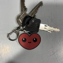 Porte-clés, a été signalé par Fenix utilisant iLost