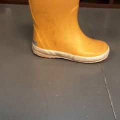 Rubber boots, as reported by Diergaarde Blijdorp using iLost