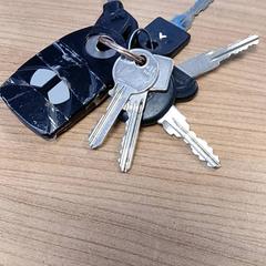 Chaveiro, como reportado por Connexxion Amstelland-Meerlanden Schiphol Zuid utilizando o iLost