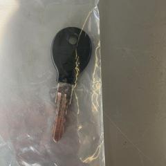 Bicycle key, as reported by Zwarte Cross using iLost