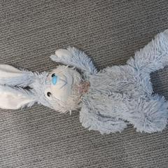 Knuffel, amint azt Arriva West-Brabant az iLost segítségével jelentette.