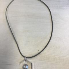 목걸이, iLost를 사용하여 Gemeente Nijmegen에 보고됨