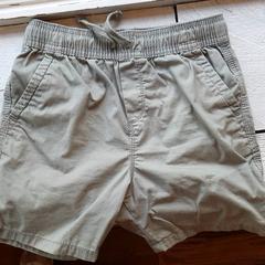 Shorts Bruin, as reported by DierenPark Amersfoort using iLost