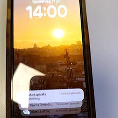 الهواتف Zwart Apple، كما تم الإبلاغ عنه بواسطة Vrije Universiteit Amsterdam عبر iLost