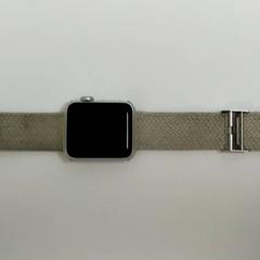 Reloj de manzana, ha sido reportado por Bobbejaanland con iLost