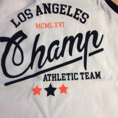 Shirt, as reported by Dolfinarium using iLost