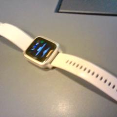 Smartwatch garmin, as reported by SnowWorld Landgraaf using iLost