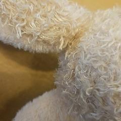 ぬいぐるみ がiLostで Avonturenboerderij Molenwaard によって報告されました