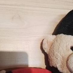 Knuffel がiLostで Beekse Bergen Resorts en Hotel によって報告されました