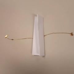 Bracelet, as reported by Zuyderland MC Sittard-Geleen using iLost