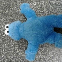 Pluche knuffel, gemeldet von Connexxion Hoekse Waard/Goeree Overflakkee über iLost