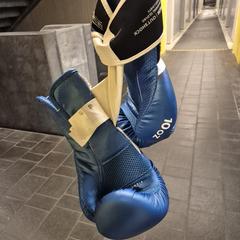 Blauw witte bokshandschoenen, segundo informou a iLost