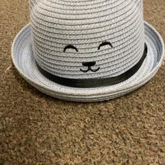 Hat Blauw, gezichtje, as reported by Burgers' Zoo using iLost