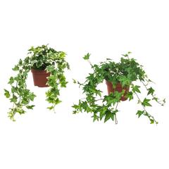 IKEA product, as reported by IKEA Marseille - Vitrolles using iLost