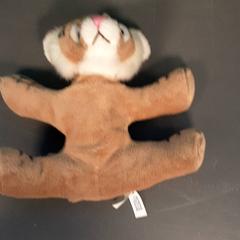 Peluche, come riportato da Diergaarde Blijdorp utilizzando iLost