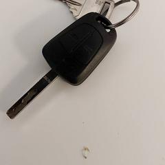 Keys, as reported by Regio West-Vlaanderen using iLost