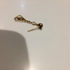 Oorbel, ha sido reportado por Van Gogh Museum usando iLost